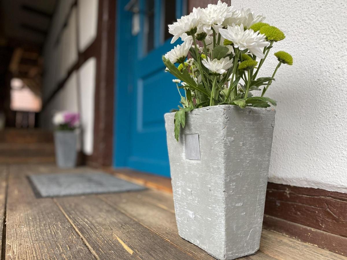 Traumhaft Wohnen Im Haus Blum Apartment Herbolzheim Luaran gambar