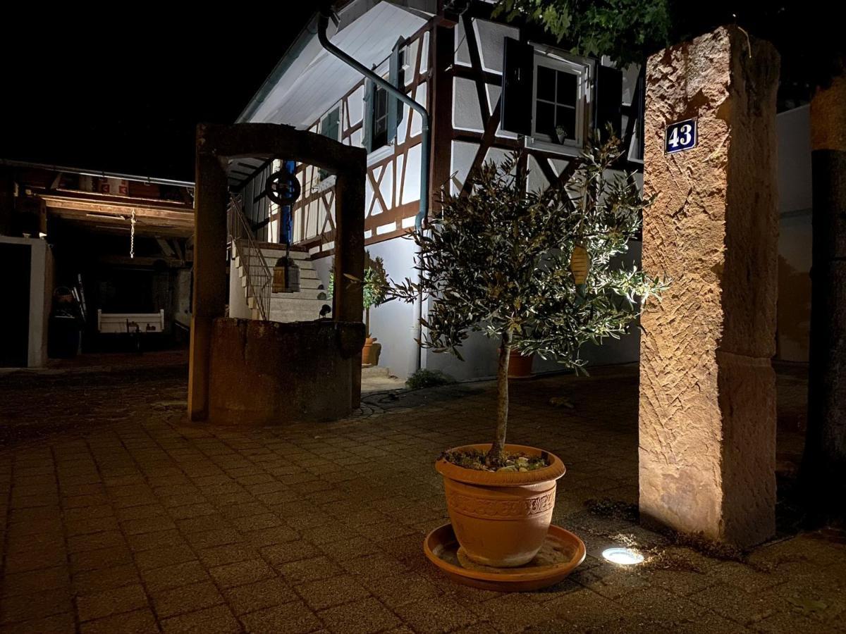 Traumhaft Wohnen Im Haus Blum Apartment Herbolzheim Luaran gambar