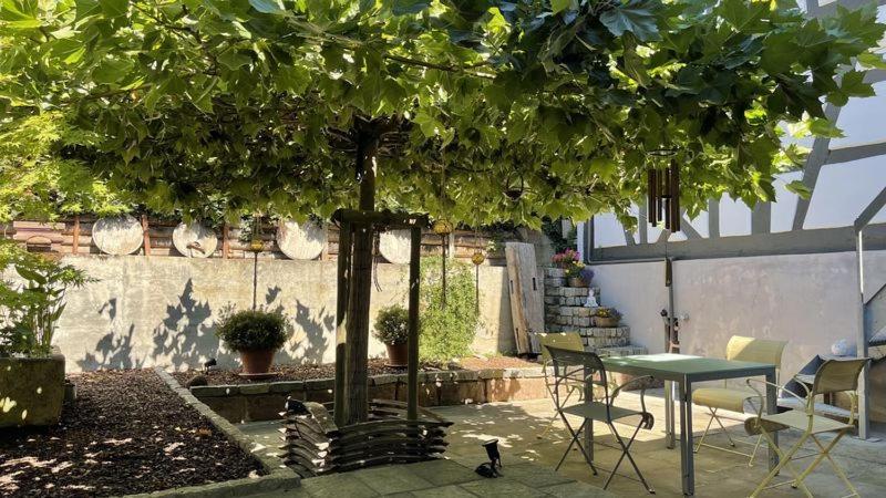 Traumhaft Wohnen Im Haus Blum Apartment Herbolzheim Luaran gambar